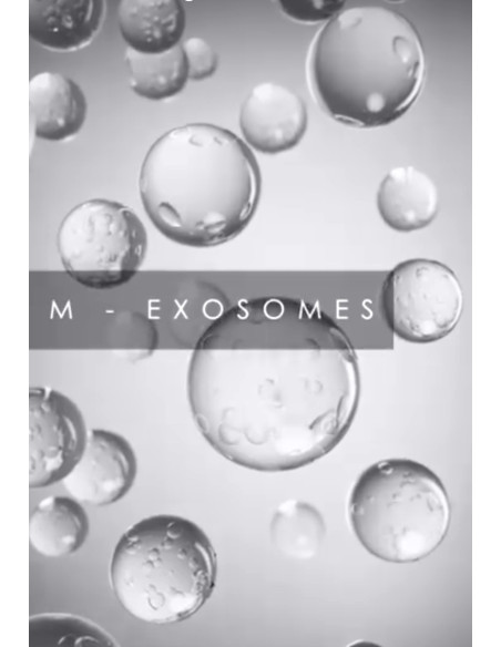 M-EXOSOMES  (1x2ml)